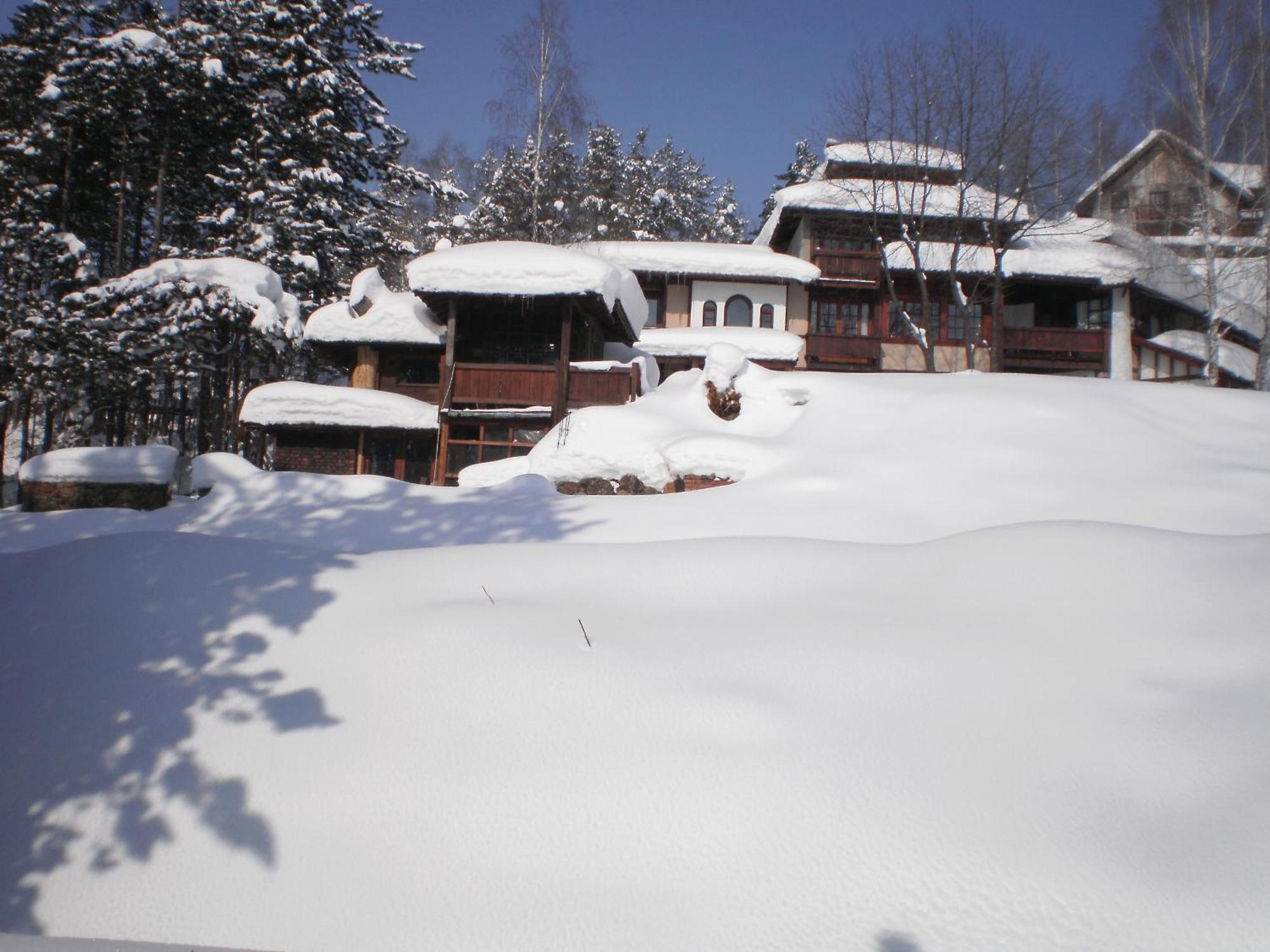 Apartments Carevo Polje Zlatibor Exterior foto